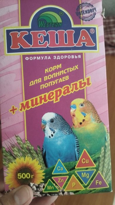 2 попугай сатылады.