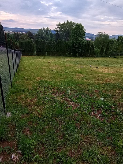 Teren extravilan de vânzare