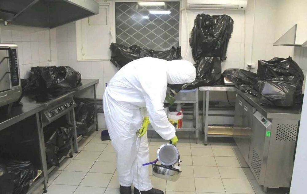 Dezinfeksiya xizmati klapa, tarakan, ilon. Dezinfeksiya Дезинфекция