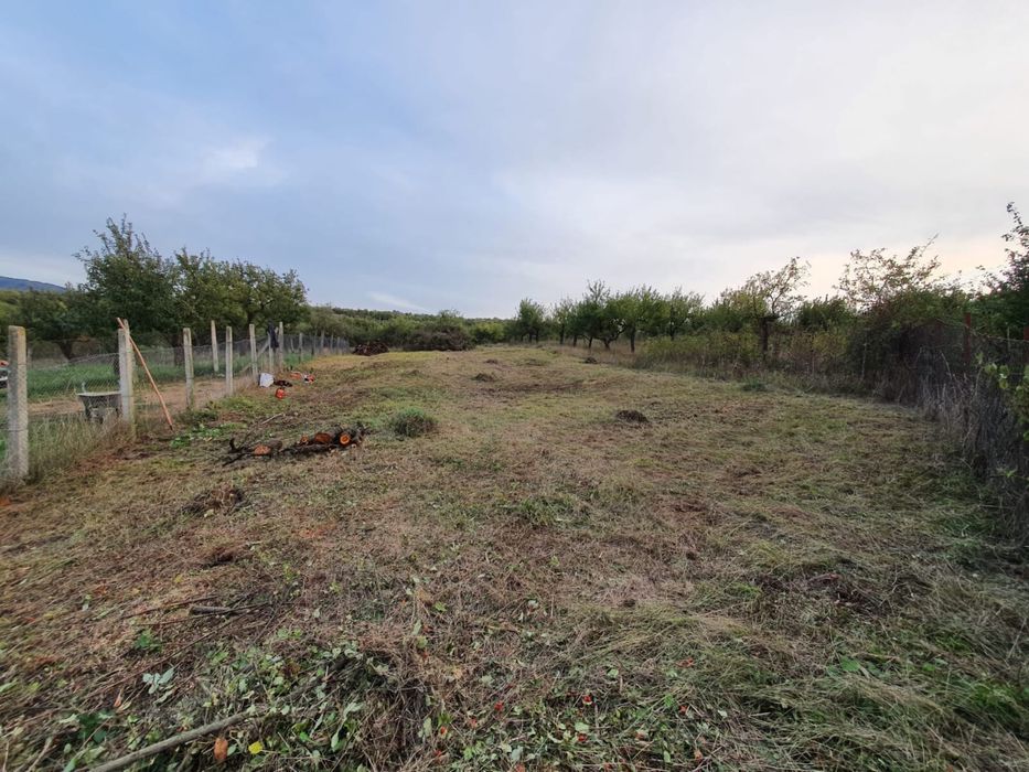 Curat gradini / Curat terenuri