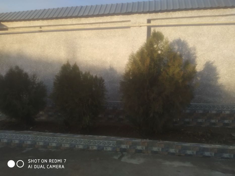 Nazarbek Tekstildan 2 sotix yer