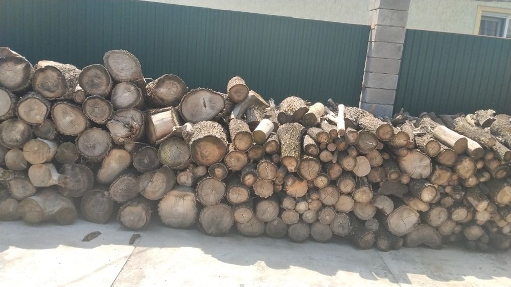 Сухие дрова карагач