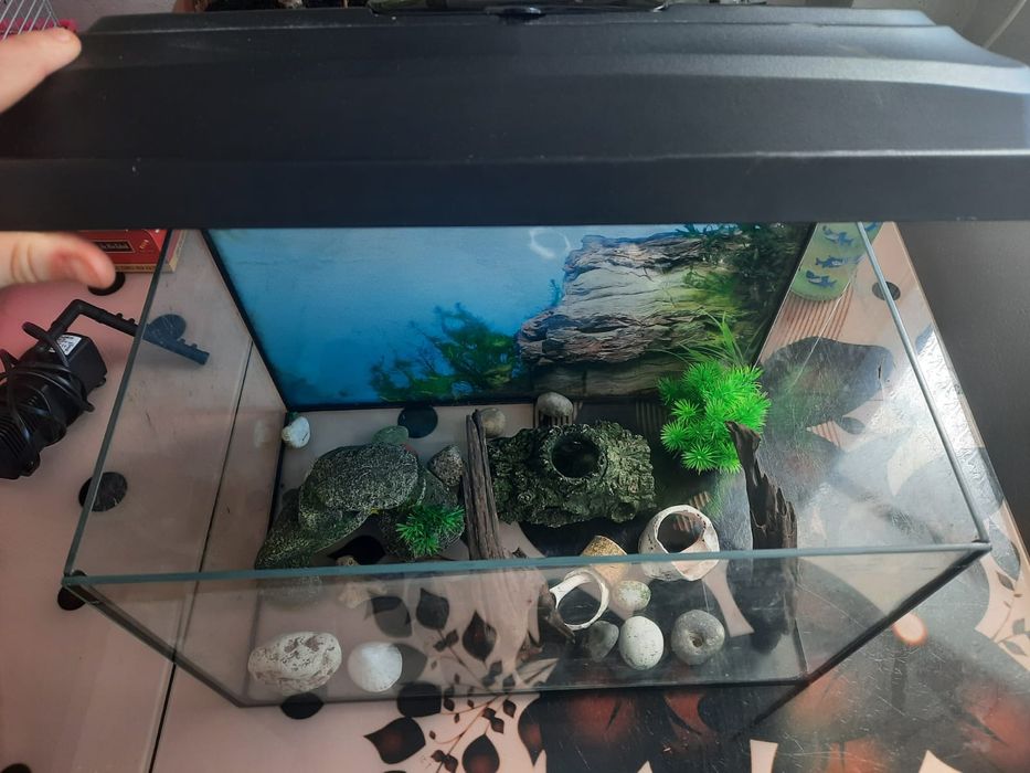 Vând Acvariu 25L