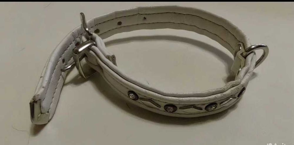 Ошейник для собак мелких пород