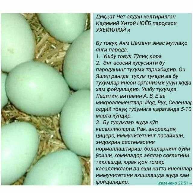 Марг'илонда Ухаюл тухуми дориликка