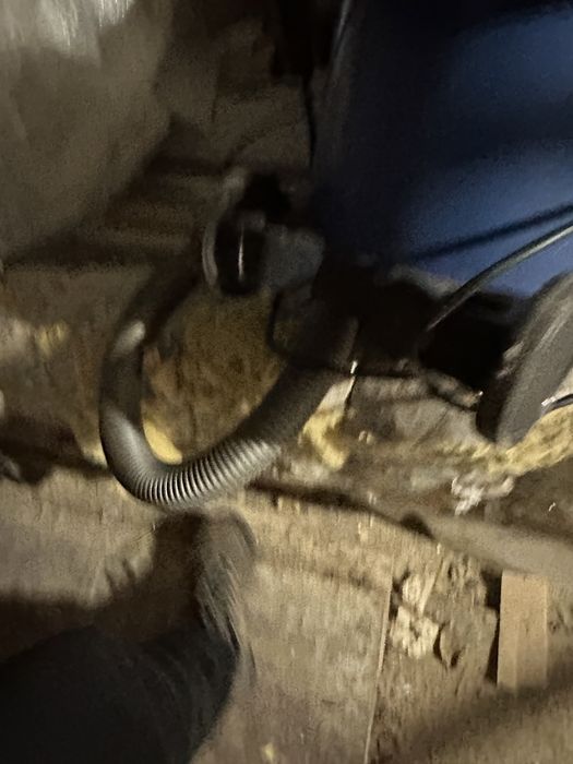 Obiect de colecție