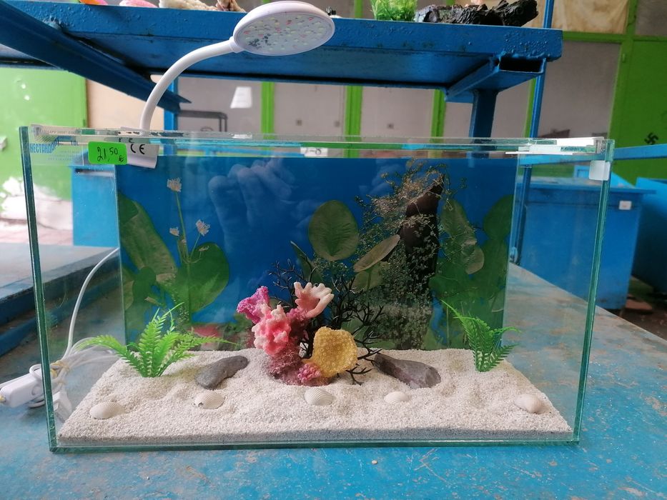 Продавам  различни видове рибки, тубифекс, аквариуми, аксесоари