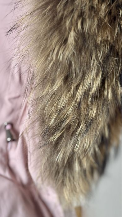 Продам парку за 5000