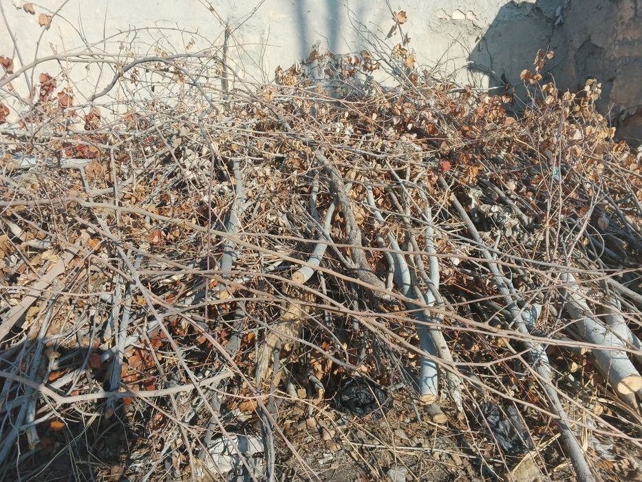 Продам утин дрова