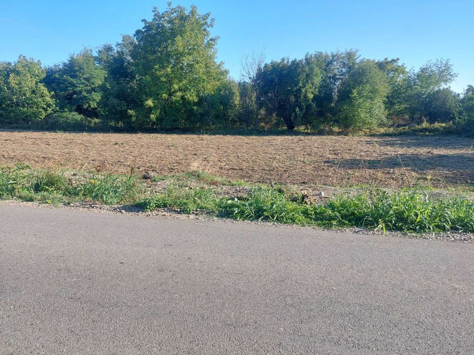 Teren intravilan 2.500 mp de vânzare – aproape de centru, Cornești, Dâmbovița