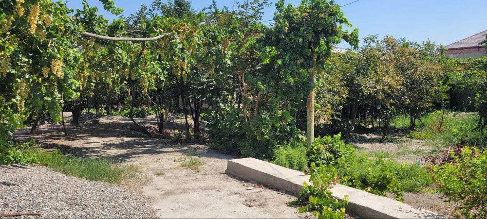 Эълон 22 сотхли ховли сотилади Куштепада