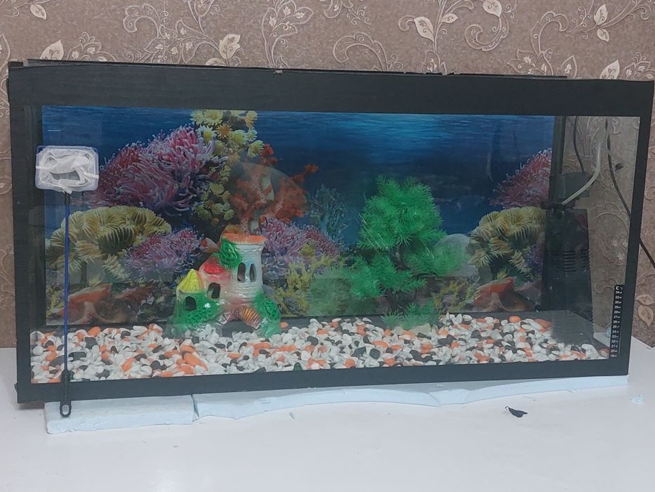 Baliqlar uchun Akvarium 150litrlik
