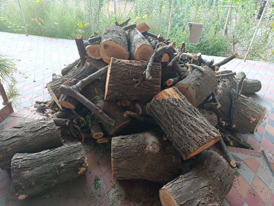 Oʼtin sotiladi quruq. Mevali va mevasiz.