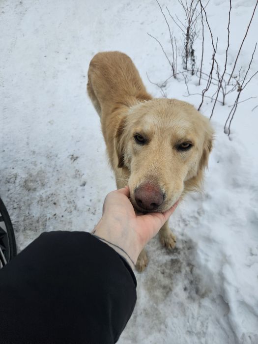 В хорошие руки кабель