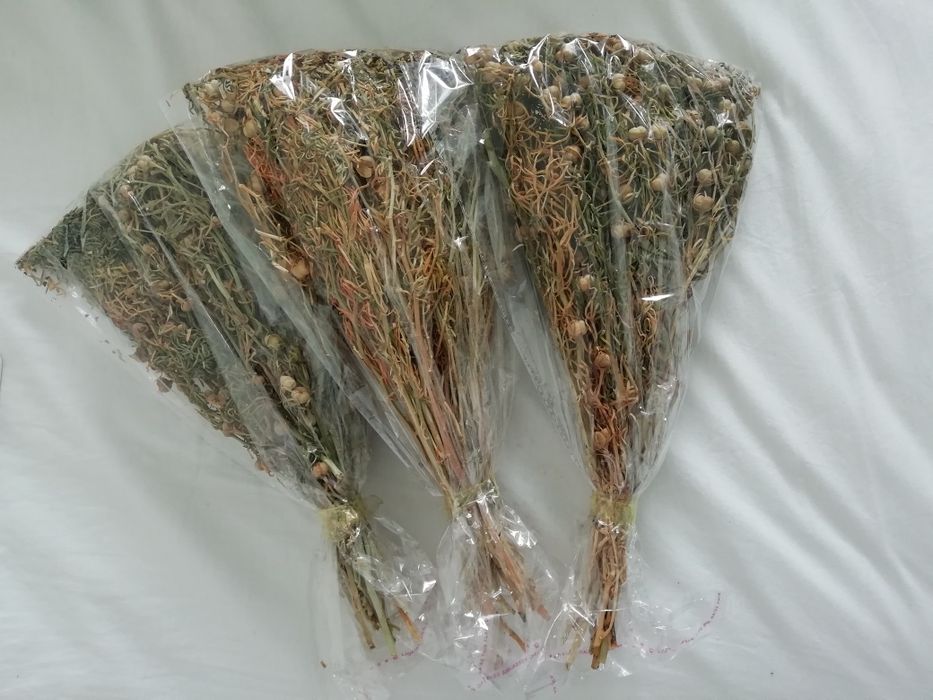 Адыраспан новые. Адраспан.