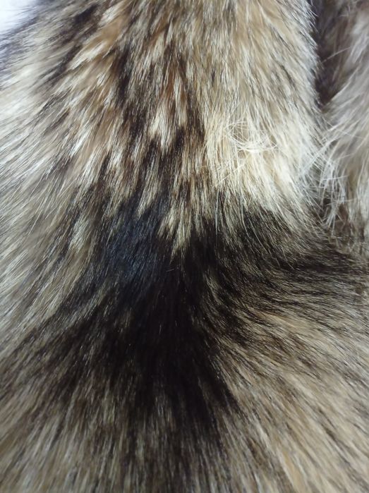 Меховой воротник енотовый