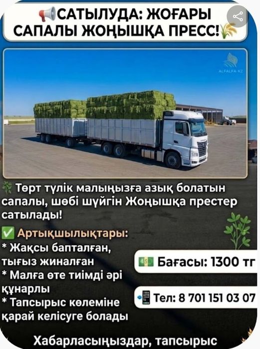 Жонышка пресс сатылады. Тығыз жасалған.