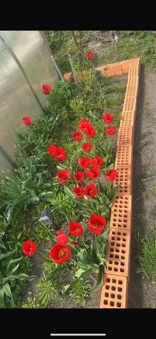 Продам дом , дача.