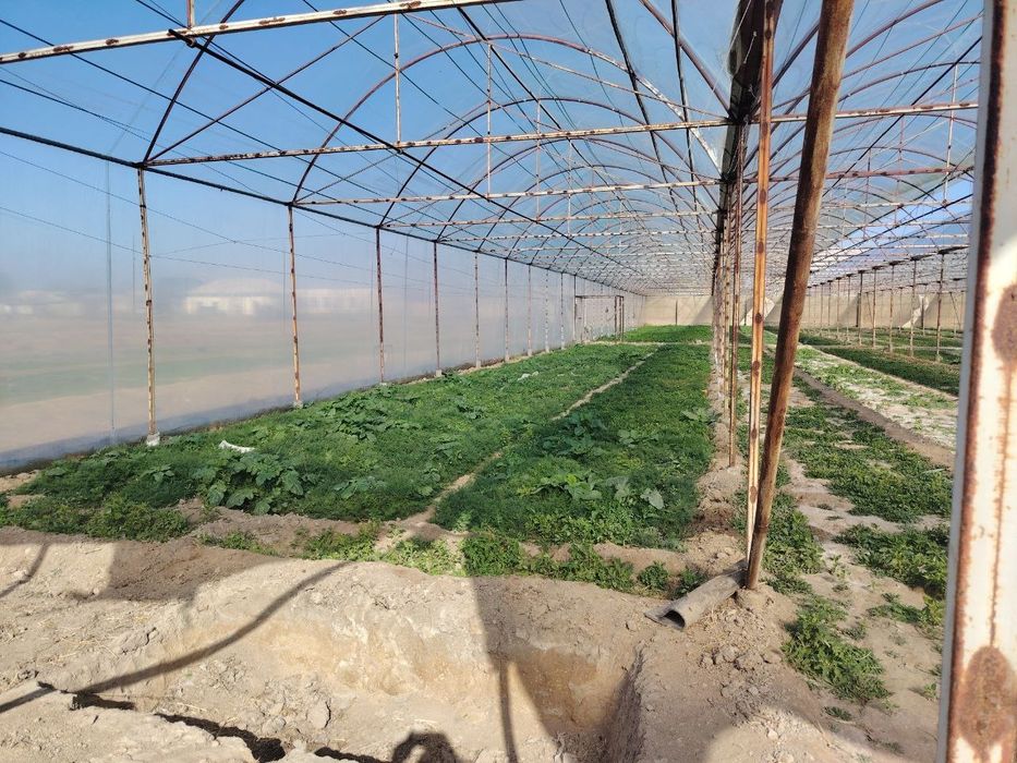 Issiqhona ijaraga beriladi