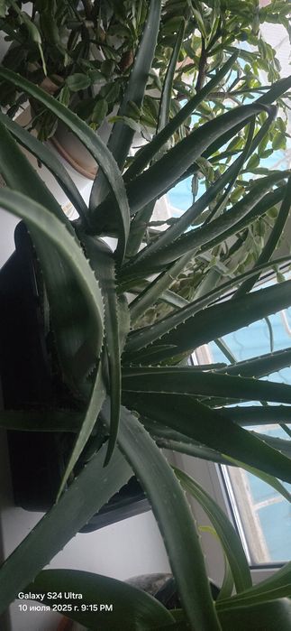 Продам красивую обувь