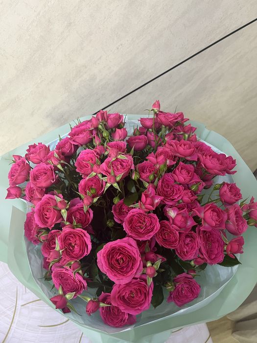 Цветы, свежие, очень красивые