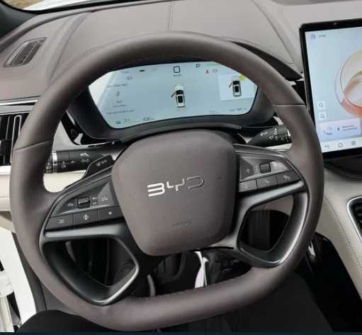 BYD chempion champion Smart 2025