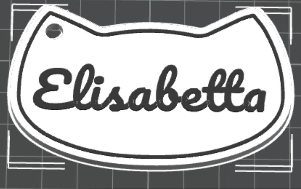 Coliere animale de companie  personalizate