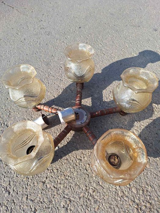 Полилей - 4 вида