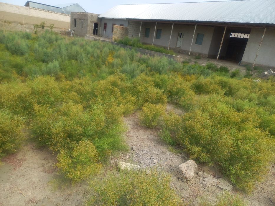 Продаётся дом 12 соток