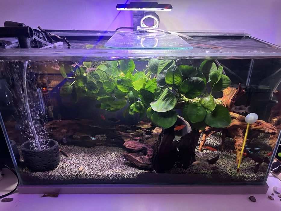 Аквариум 40 литров