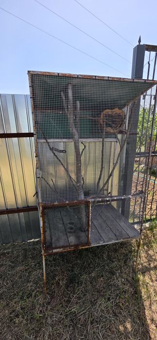 Vand cușcă de papagali