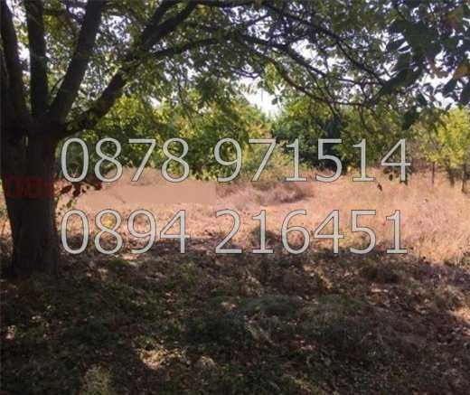 Продава се Парцел в с. Трилистник, Област Пловдив - 820 кв.м за 30 €/кв.м - Снимка #3