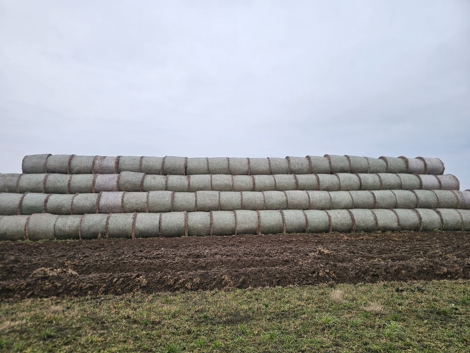 De vânzare baloti Rotunzi de paie