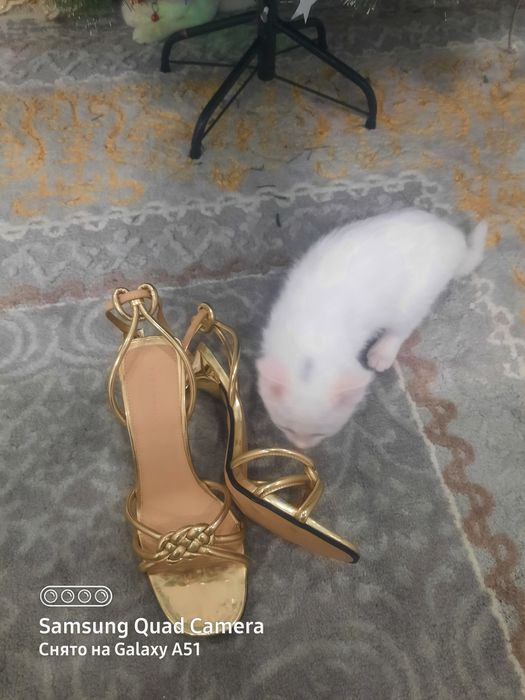 Туфли от ZARA WOMEN !!!