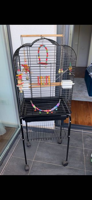 Colivie papagal noua