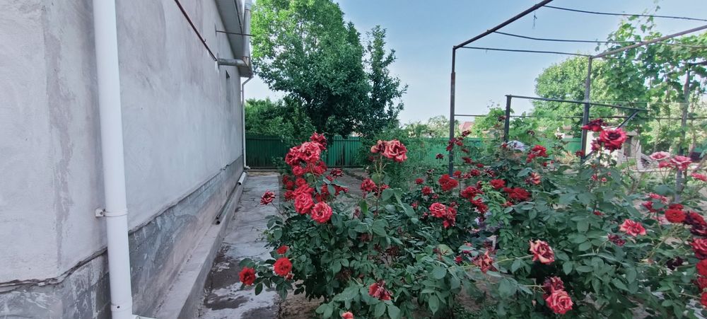 Жаңа үй сатылады