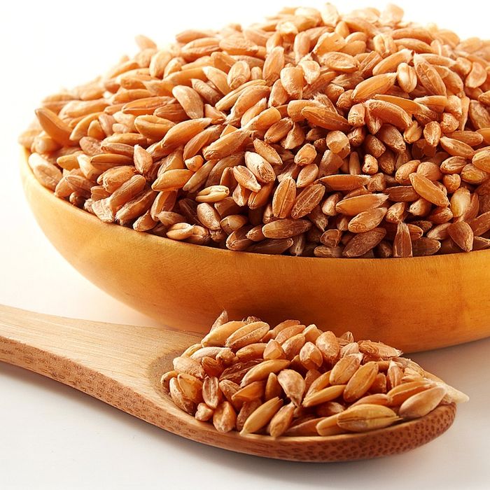 Полба шелушенная (Россия, Алтай)