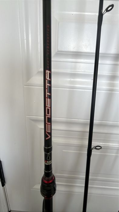 Спиннинги для ловли змееголова