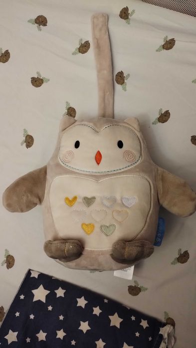 Бухалчето Оли-компания за сън