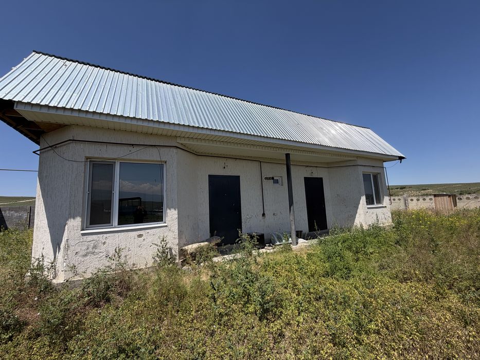Откорм сатылады