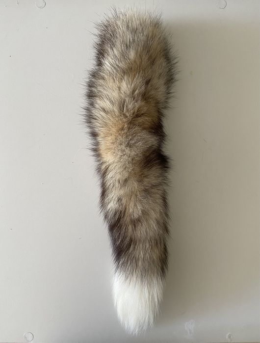 Хвост г.Актау