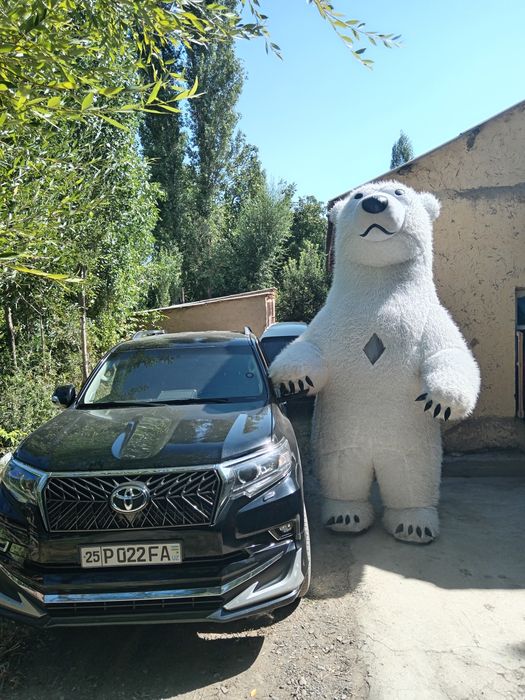 Ayiqlar xizmati barcha viloyat boylab