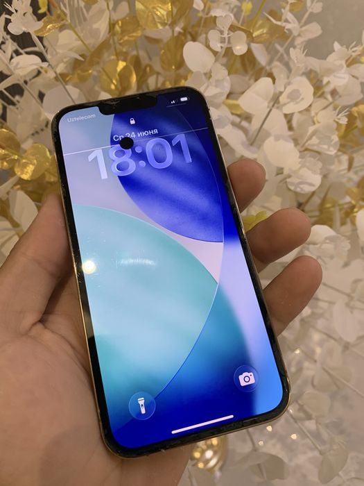 Iphone 13 pro       .