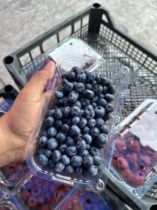 Malina, Smarodina, shotut, Kirojonik