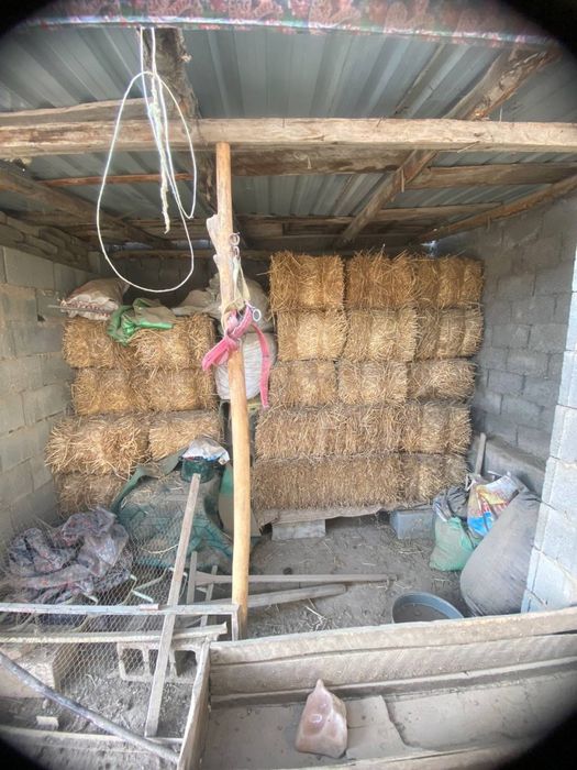 Marhamat Somon Pressi