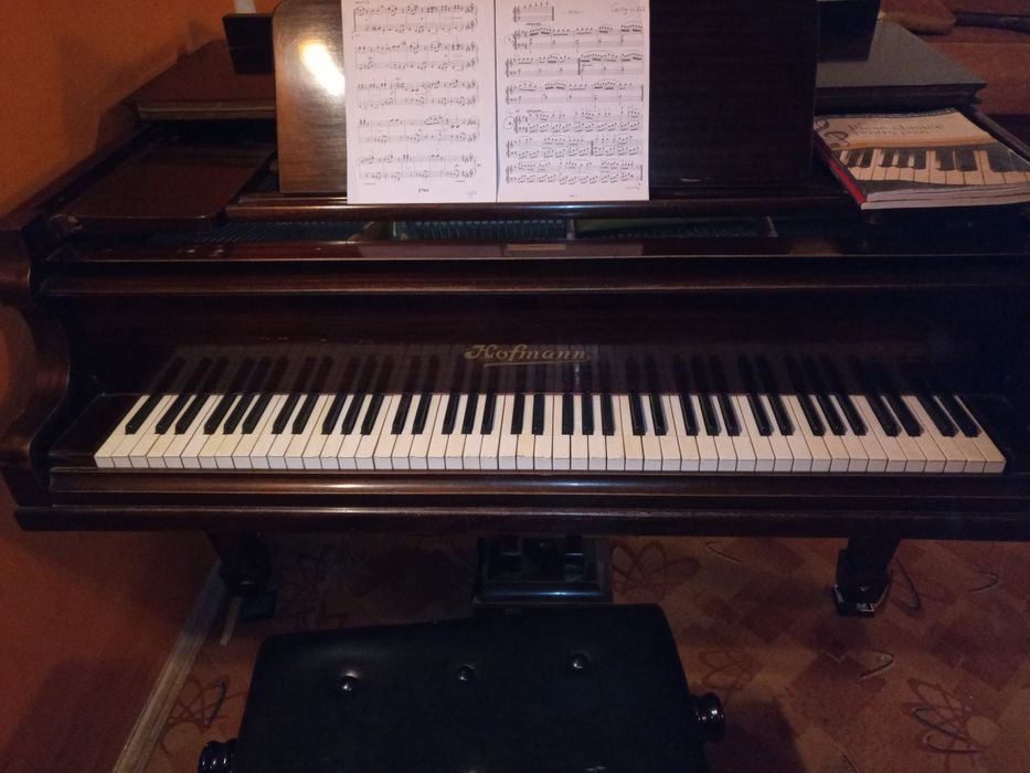 Vand/schimb pian cu coada scurta Hofmann