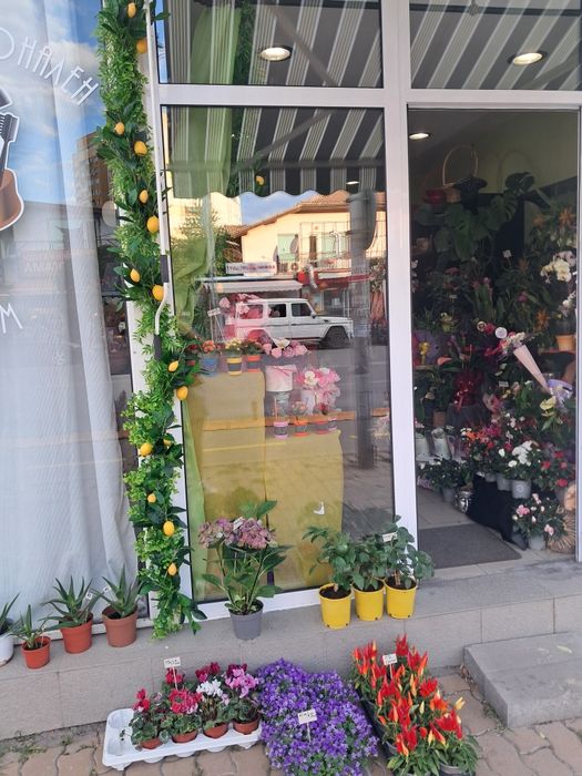 Дава се под наем Магазин в София, Република - 18 кв.м за 2550 € - Снимка #5