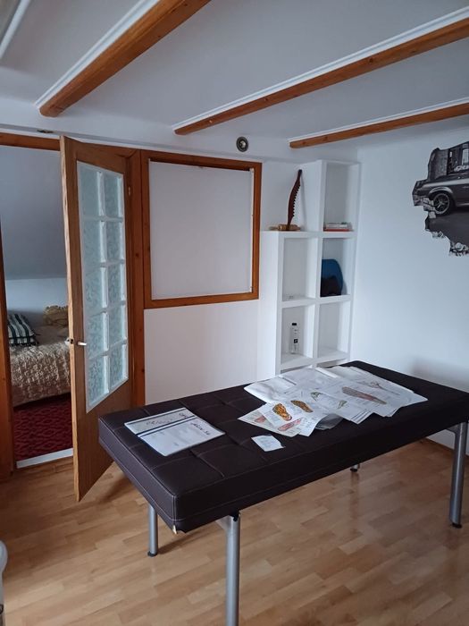 Casa si spatiu comerical de inchiriat