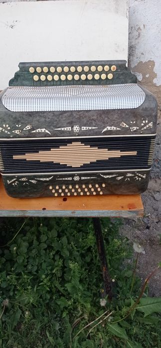 Музыкальный инструмент, гармонь, Беларусь