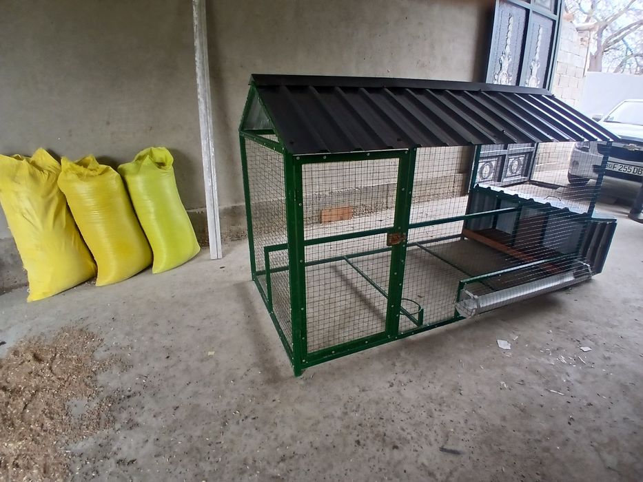 Tovuq katak zakazga